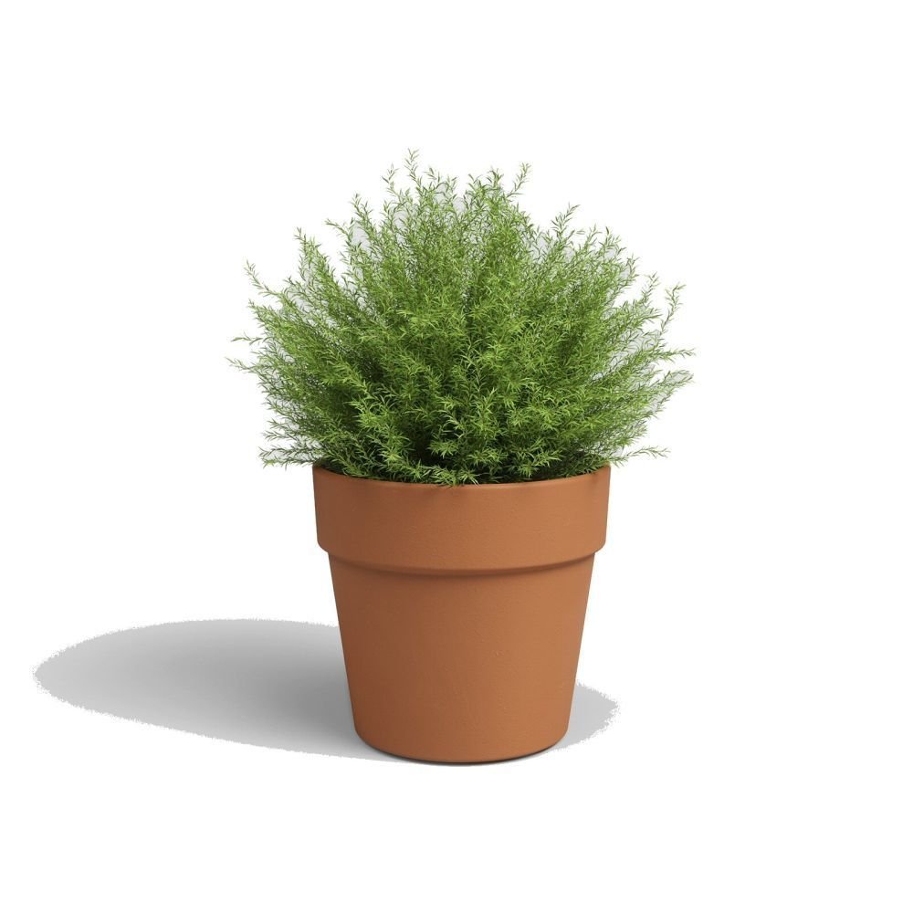 Artevasi 21cm Terracotta Amalia Pot - Old Railway Line Garden Centre