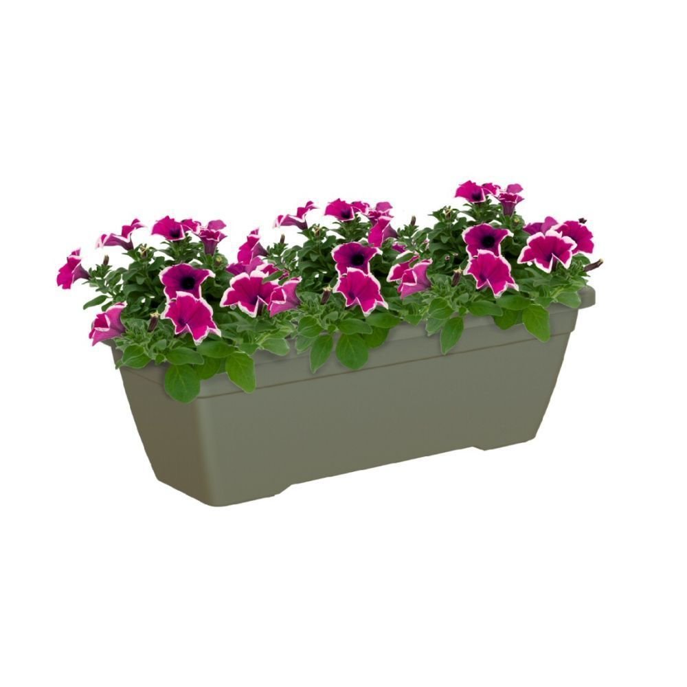 Artevasi 60cm Dry Green Venezia Plant Box Trough - Old Railway Line Garden Centre