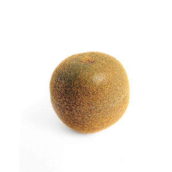 CB Imports 6.5cm Artificial Kiwi - Old Railway Line Garden Centre