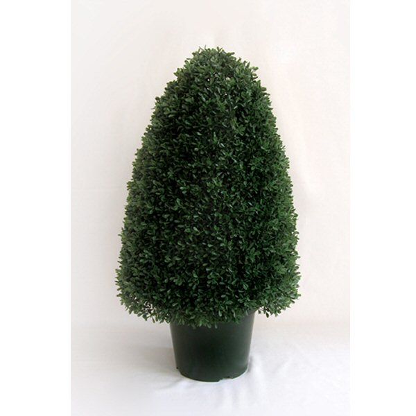 CB Imports 78cm Artificial Potted Mini Tea Leaf Cone - Old Railway Line Garden Centre