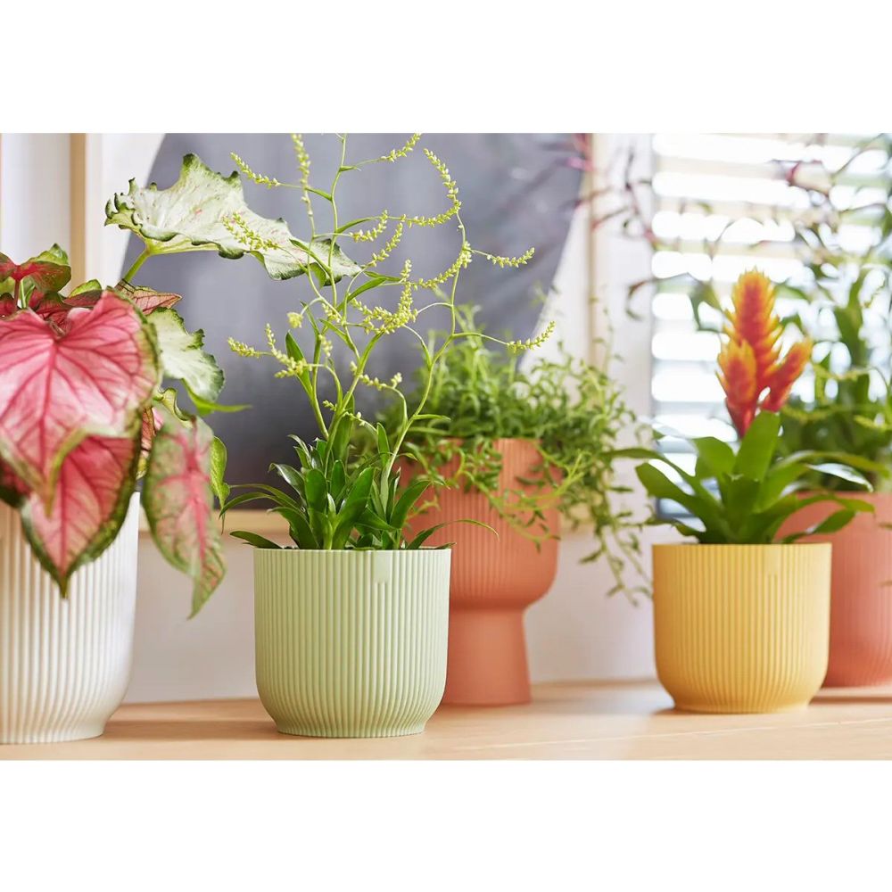 Elho 14cm Sorbet Green Vibes Fold Round Pot - Old Railway Line Garden Centre