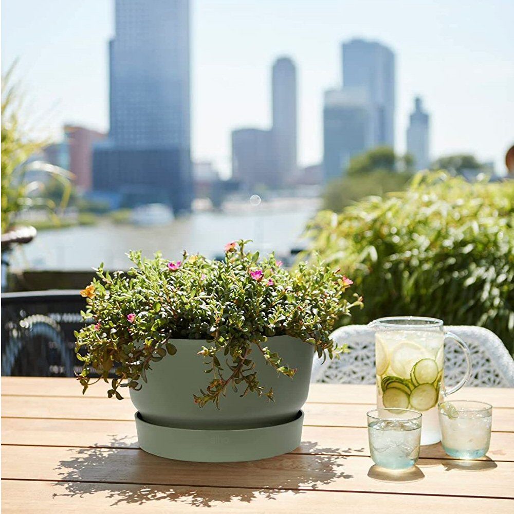 Elho 33cm Leaf Green Greenville Bowl Planter - Old Railway Line Garden Centre