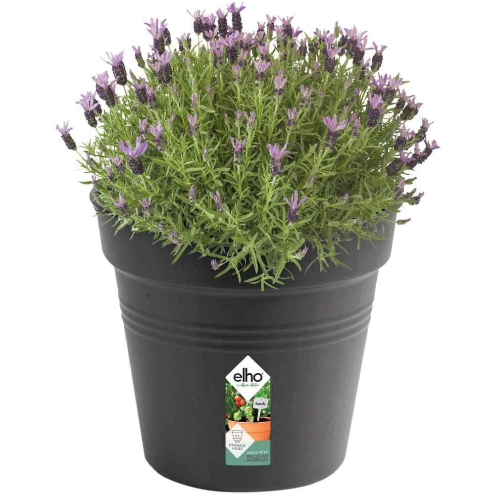 Elho 35cm Living Black Green Basics Growpot - Old Railway Line Garden Centre