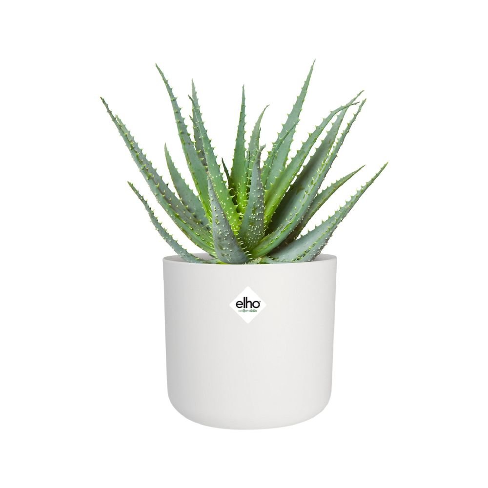 Elho 35cm White B. For Soft Round Pot - Old Railway Line Garden Centre