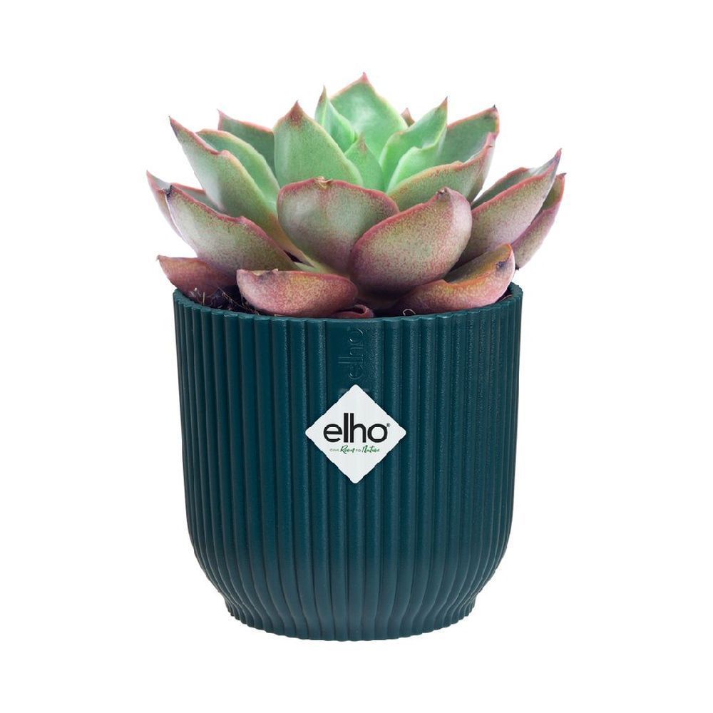 Elho 7cm Deep Blue Vibes Fold Mini Round Pot - Old Railway Line Garden Centre