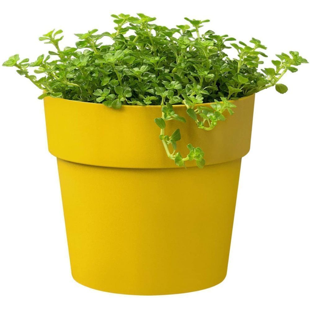 Elho 9cm Ochre B.For Original Round Mini Pot - Old Railway Line Garden Centre