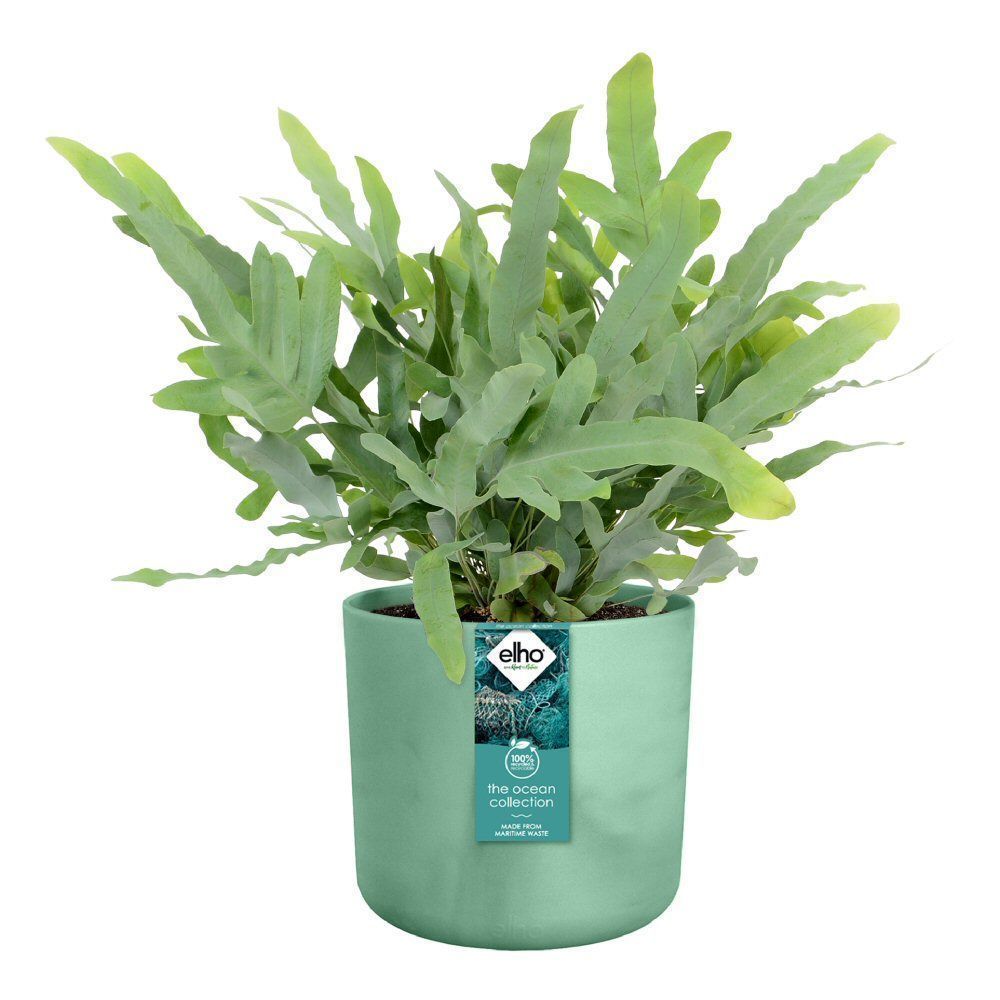 Elho Ocean Collection Pacific Green Recycled Waste Round Indoor Pot 22cm - Old Railway Line Garden Centre