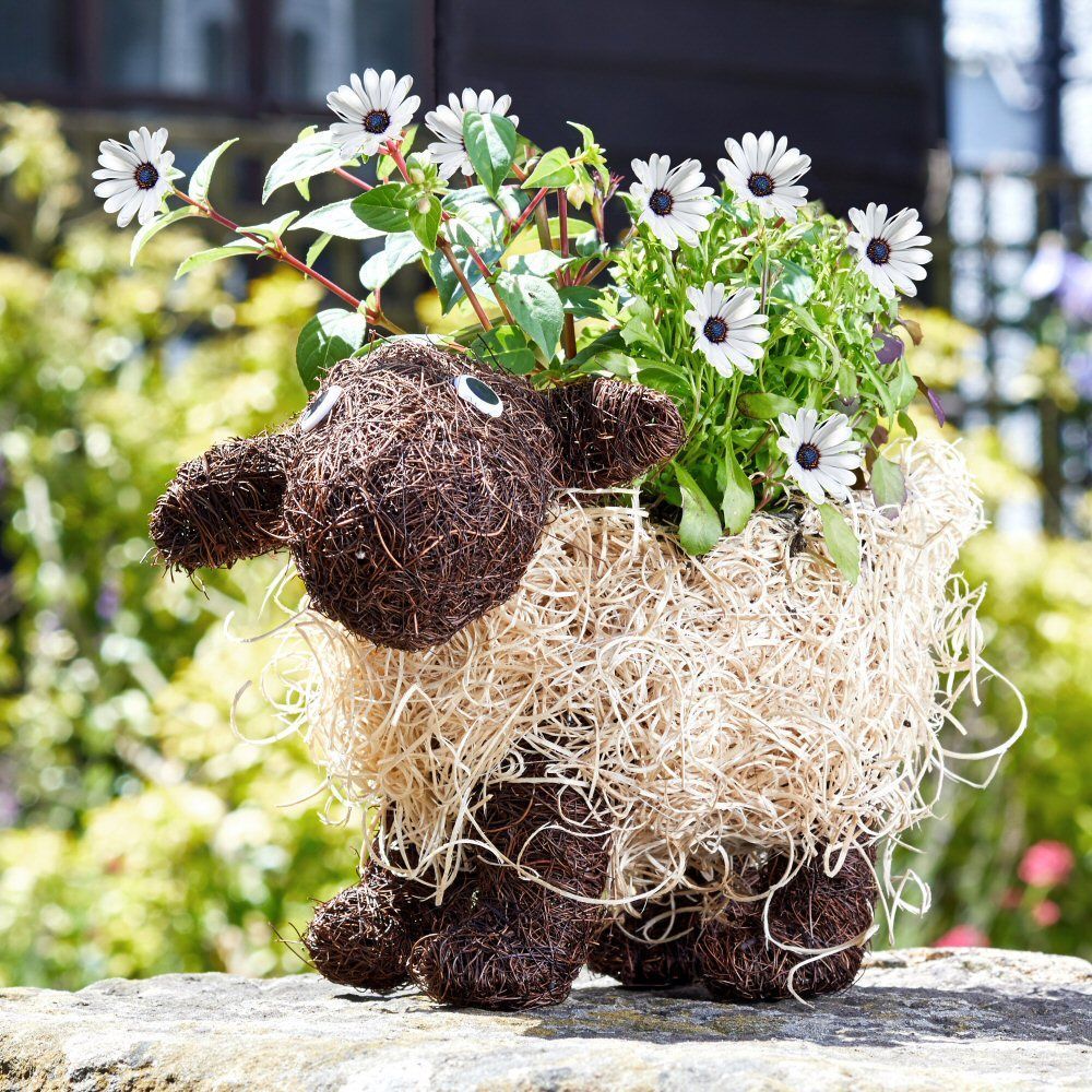 Flamboya 35cm Shelley Sheep Rattan Funimal Planter - Old Railway Line Garden Centre
