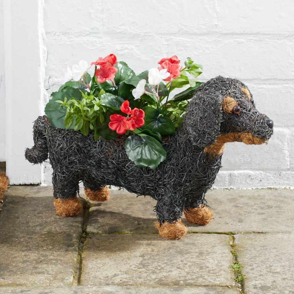 Flamboya 45cm Sausage Dog Rattan Planter - Old Railway Line Garden Centre