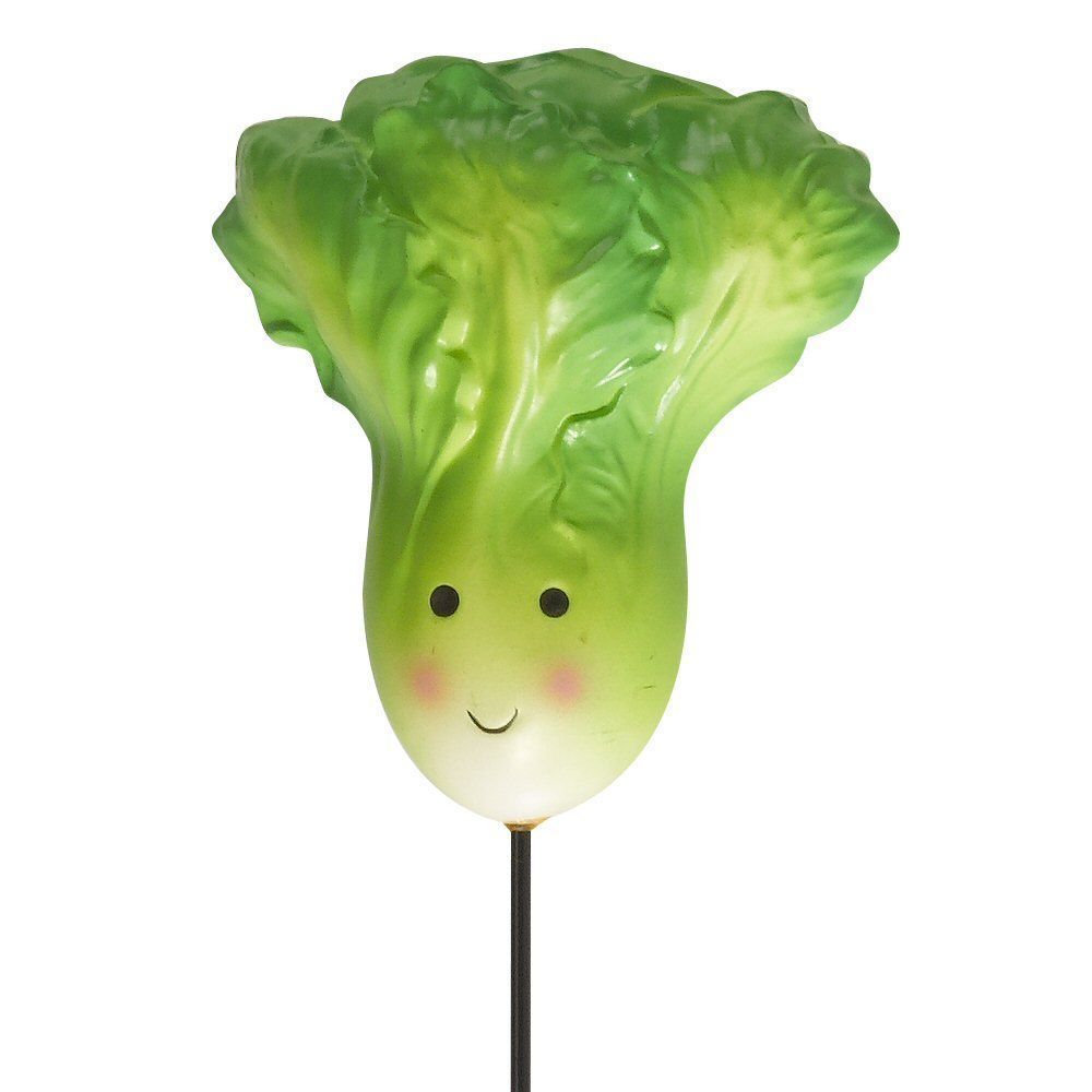 Flamboya 50 - 75cm Veggie Loony Border Stakes (Choice of 3) - Old Railway Line Garden Centre