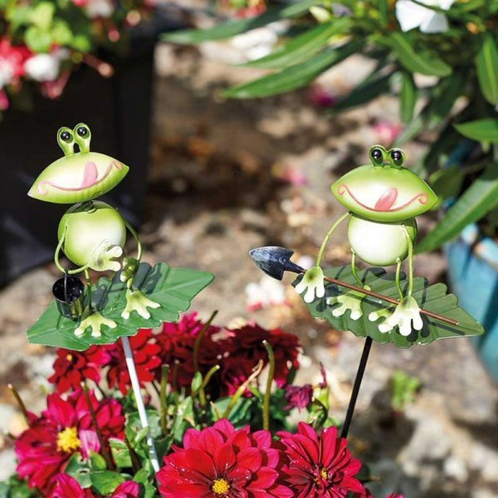 Flamboya Frog Loony Stake (Choice of 2) - Old Railway Line Garden Centre