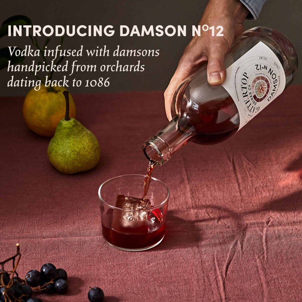 Gattertop Botanic 70cl No12 Damson Vodka - Old Railway Line Garden Centre