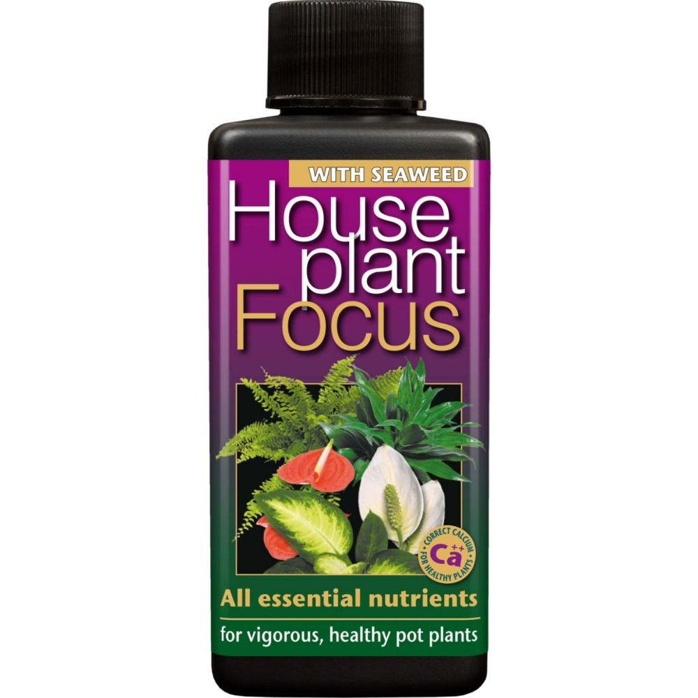 Growth Technology 100ml Houseplant Focus - Old Railway Line Garden Centre