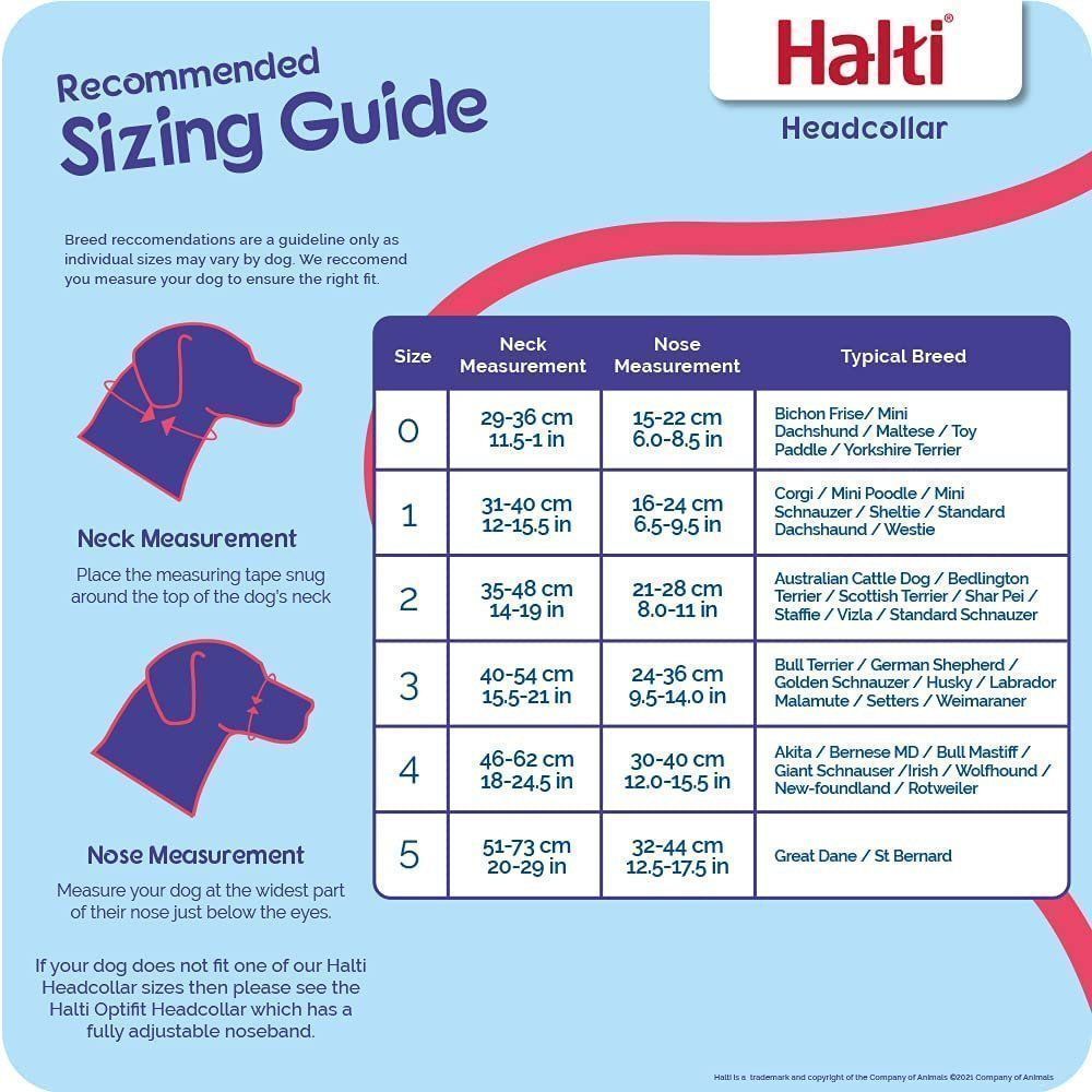 Halti Size 2 Black Dog Training Headcollar