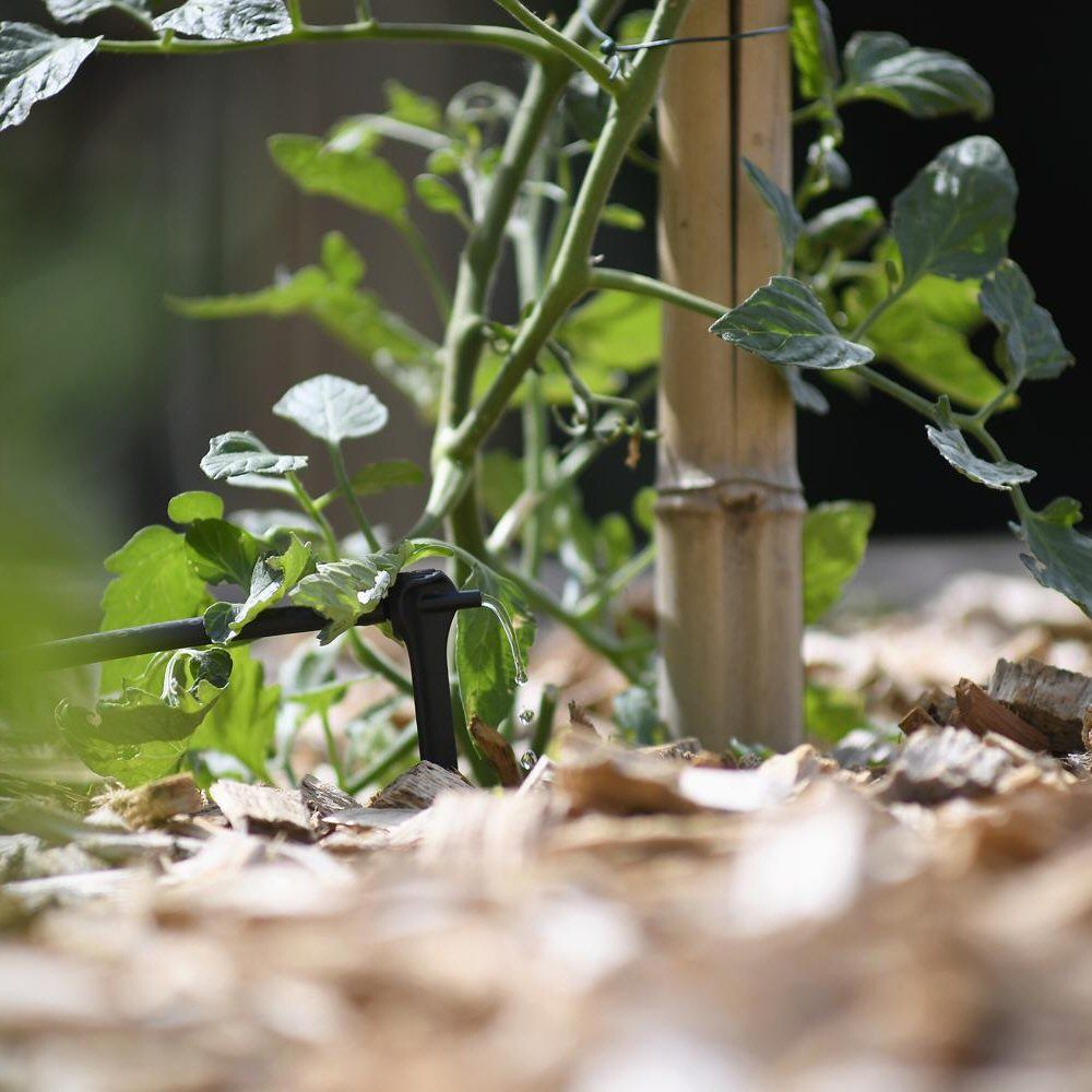 Hozelock Asta End - of - Line Pressure Compensating Dripper Spikes (Pack of 5) 7043 - Old Railway Line Garden Centre