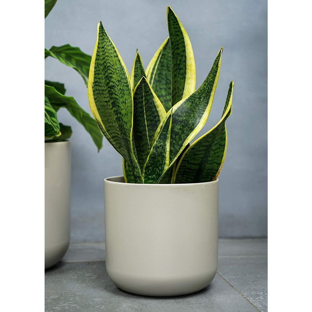 Ivyline 13.5cm White Lisbon Planter - Old Railway Line Garden Centre