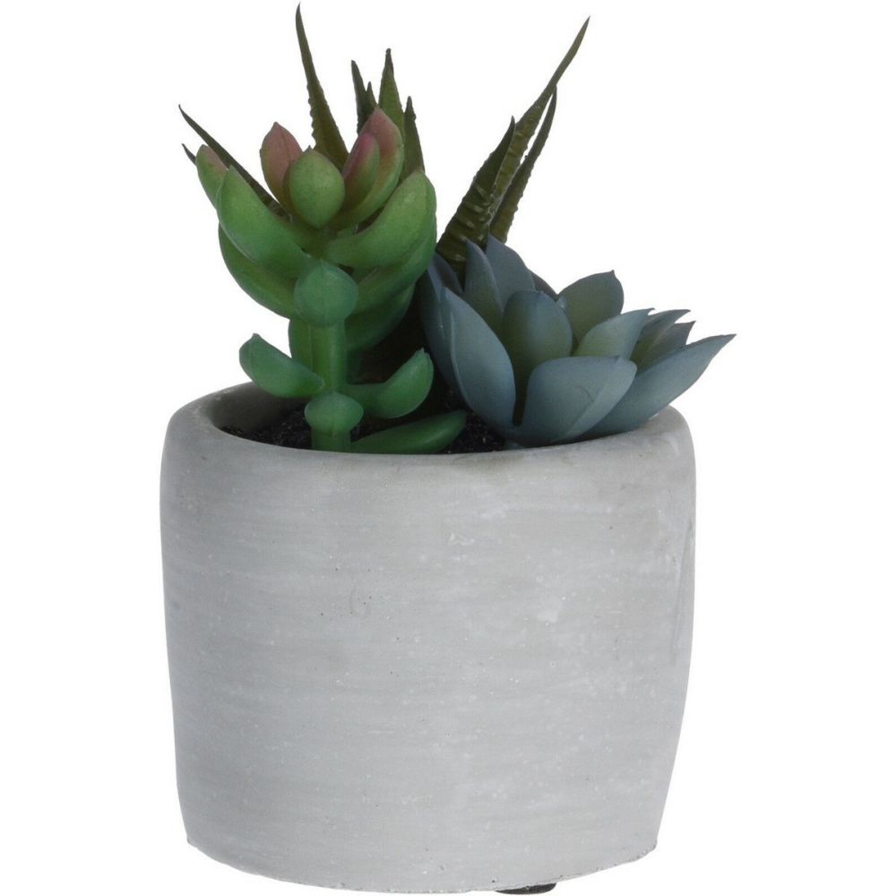 Koopman 11cm Artificial Succulent in Concrete Pot (Choice of 3) - Old Railway Line Garden Centre