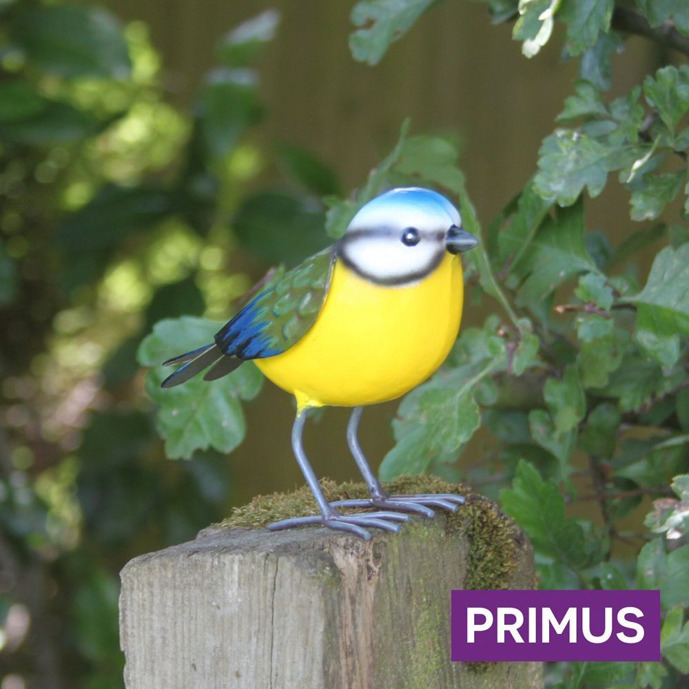 Primus 16cm Large Metal Blue Tit - Old Railway Line Garden Centre