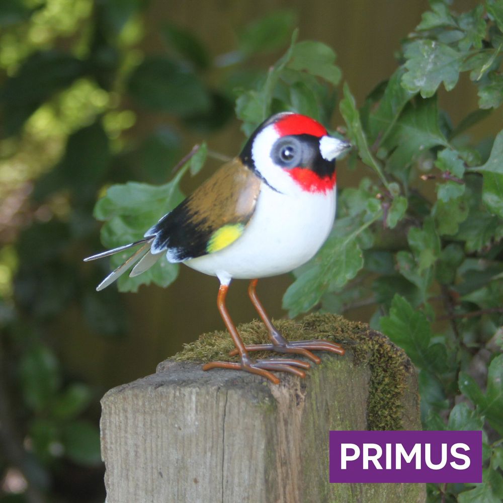 Primus 16cm Large Metal Goldfinch - Old Railway Line Garden Centre