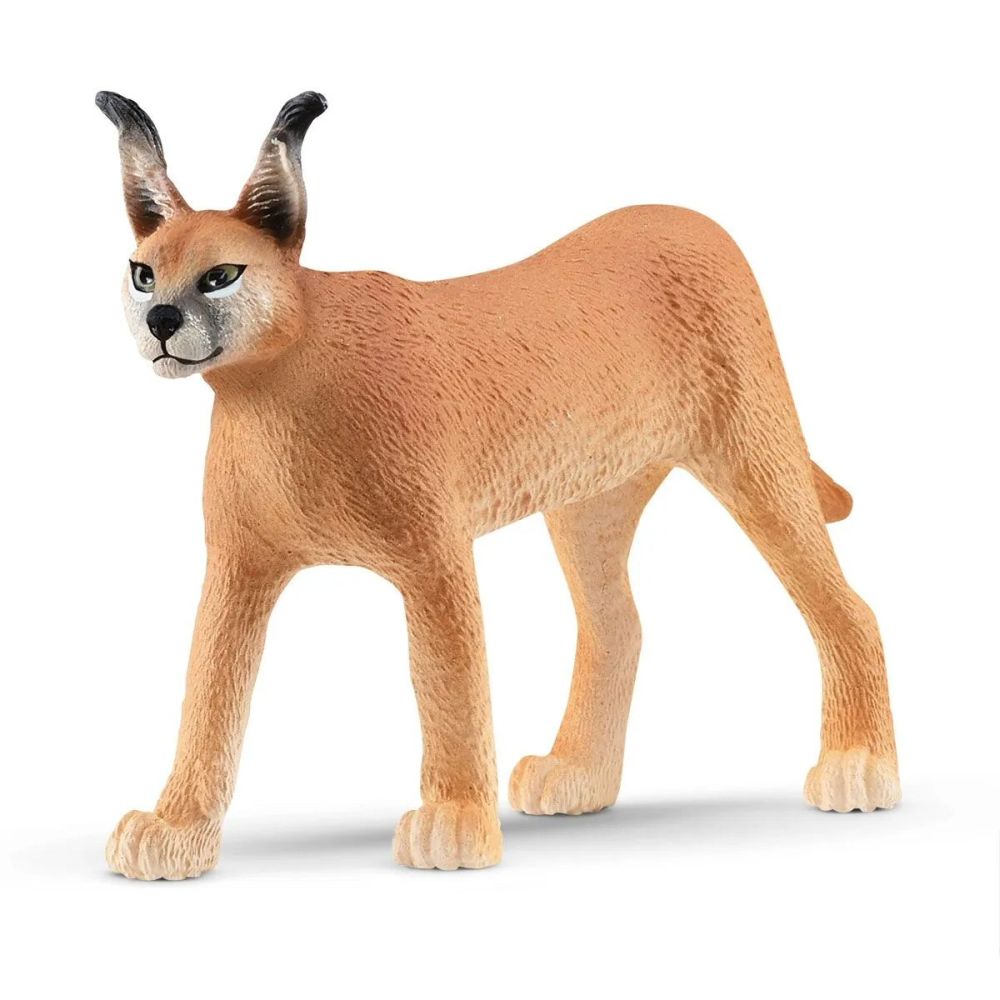 Schleich Caracal - 14867 - Old Railway Line Garden Centre