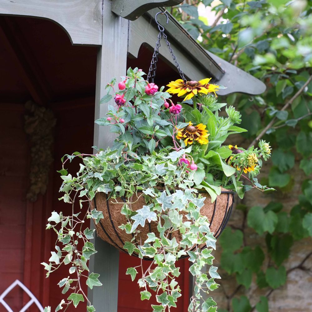 Smart Garden 16" Smart Hanging Basket - Old Railway Line Garden Centre