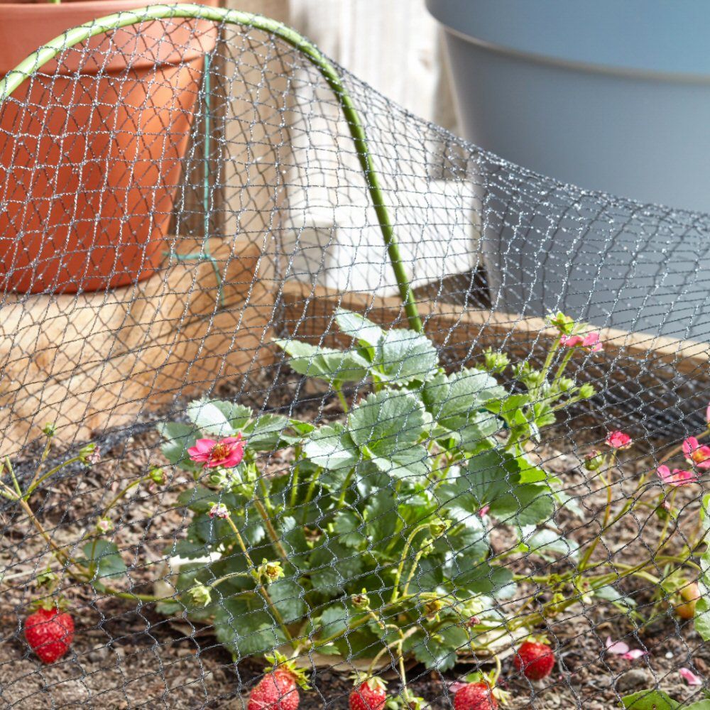 Smart Garden 4 x 10m 25mm Black Mesh Fruit Netting - Old Railway Line Garden Centre