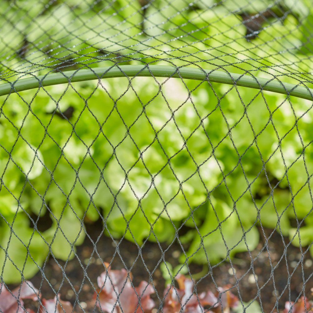 Smart Garden 4 x 10m 25mm Black Mesh Fruit Netting - Old Railway Line Garden Centre
