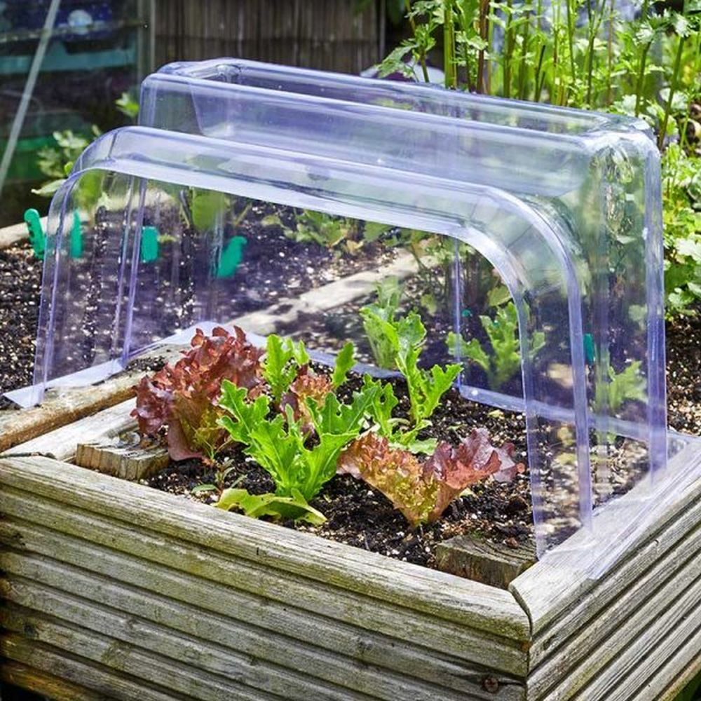 Smart Garden Clear Cloche Ends - Old Railway Line Garden Centre