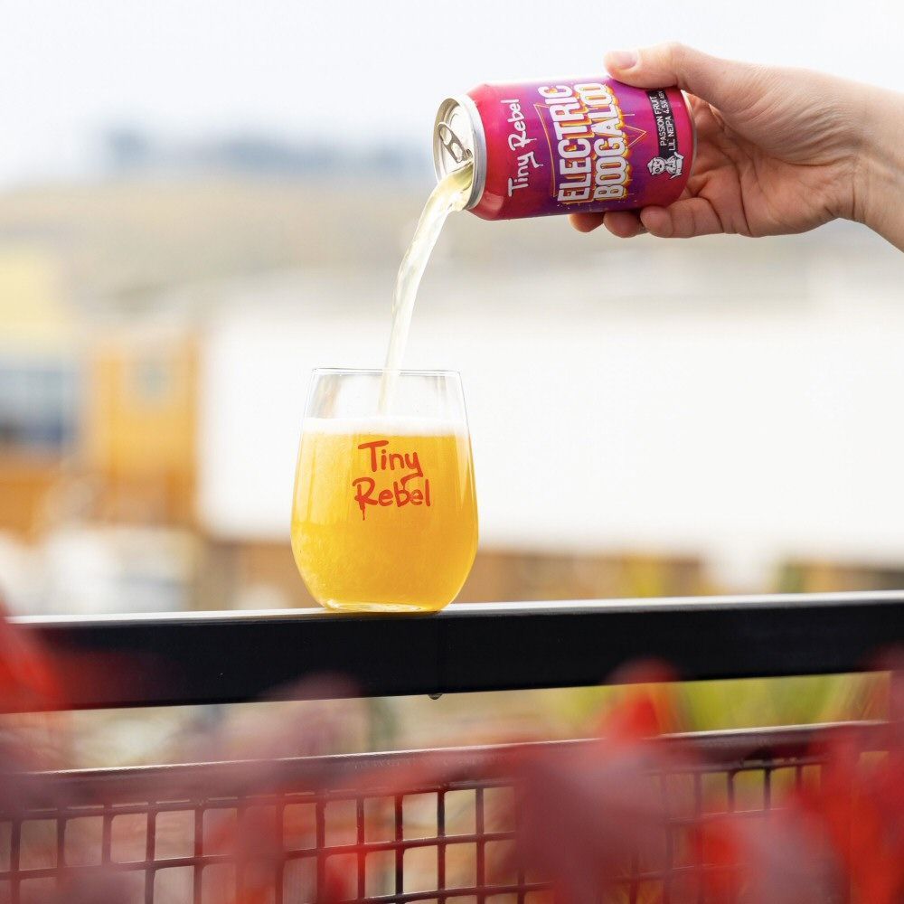 Tiny Rebel 330ml Electric Boogaloo IPA Beer - Old Railway Line Garden Centre