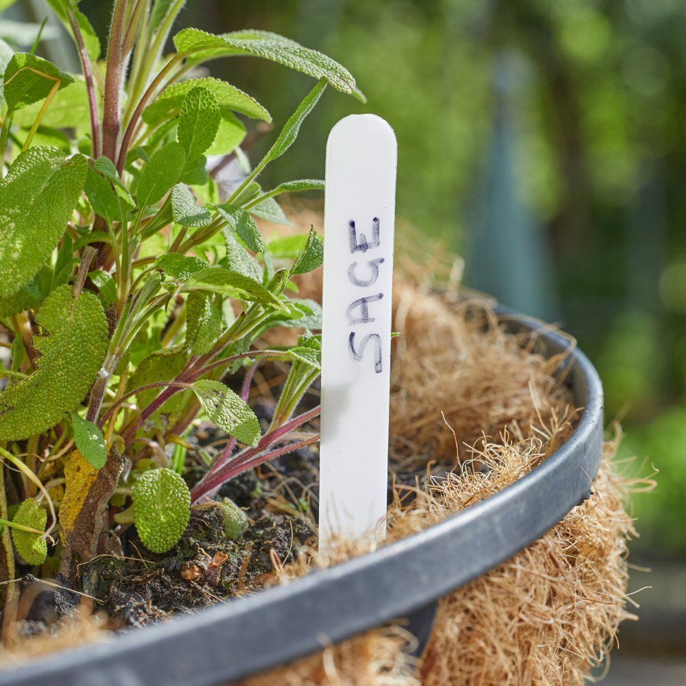 Useful 10cm Rot - Proof Plant Labels (Pack of 50) - Old Railway Line Garden Centre