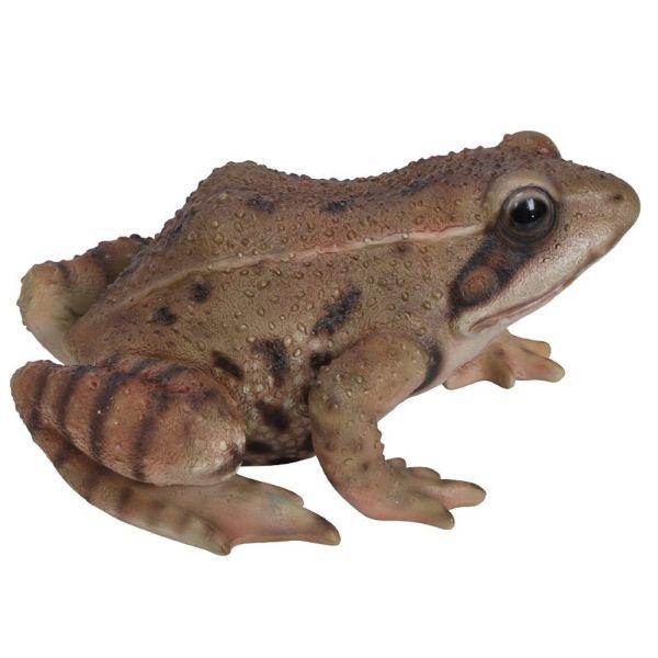 Vivid Arts 15cm Frog - XRL - FROG - F - Old Railway Line Garden Centre