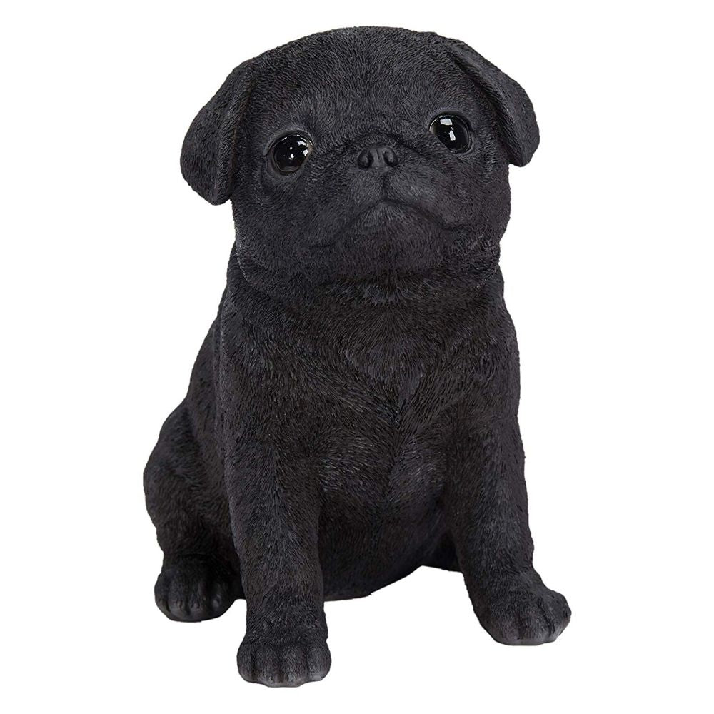 Vivid Arts 16cm Black Puppy Pug - PP - BPUG - F - Old Railway Line Garden Centre