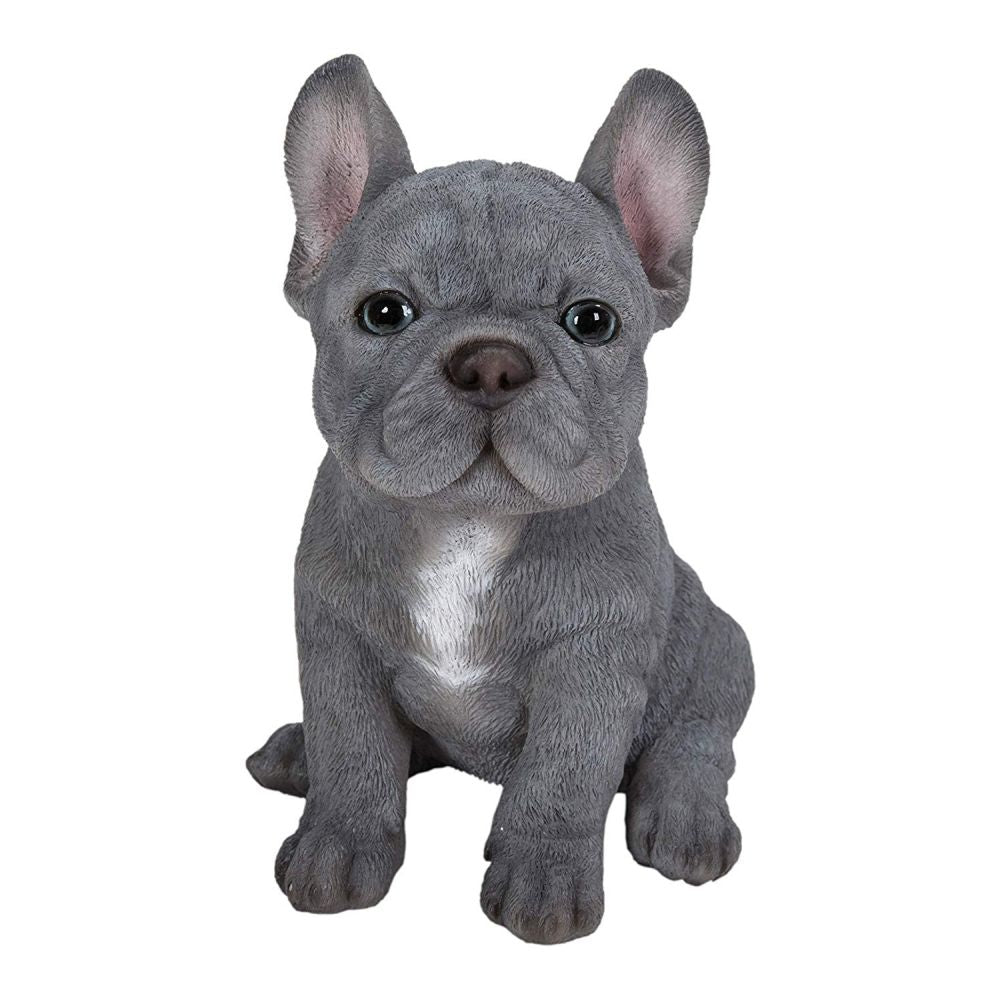 Vivid Arts 16cm Blue French Bulldog - PP - BFRB - F - Old Railway Line Garden Centre