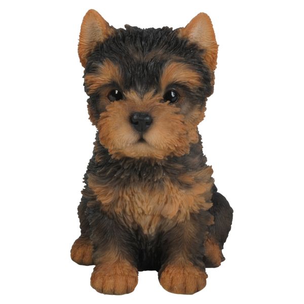 Vivid Arts 16cm Yorkshire Terrier Puppy Pet Pals - PP - Y - Old Railway Line Garden Centre