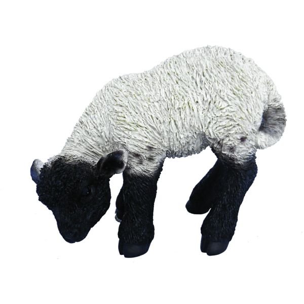 Vivid Arts 31cm Black / White Standing Lamb - XRL - BLLB - D - Old Railway Line Garden Centre