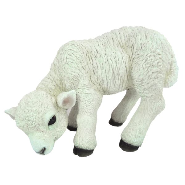 Vivid Arts 31cm Standing Lamb - XRL - LAMB - D - Old Railway Line Garden Centre