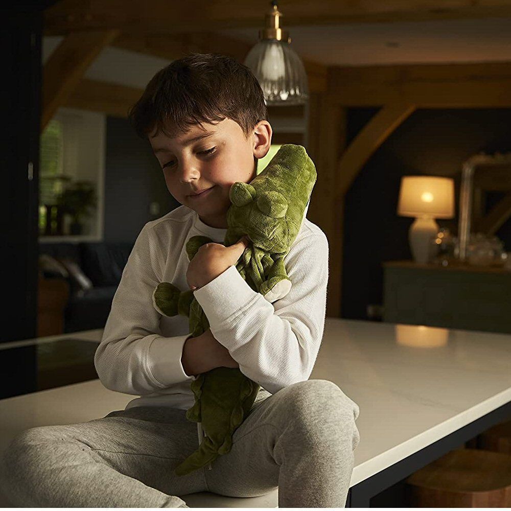 Warmies 13" Alligator Plush Microwavable Soft Toy - Old Railway Line Garden Centre