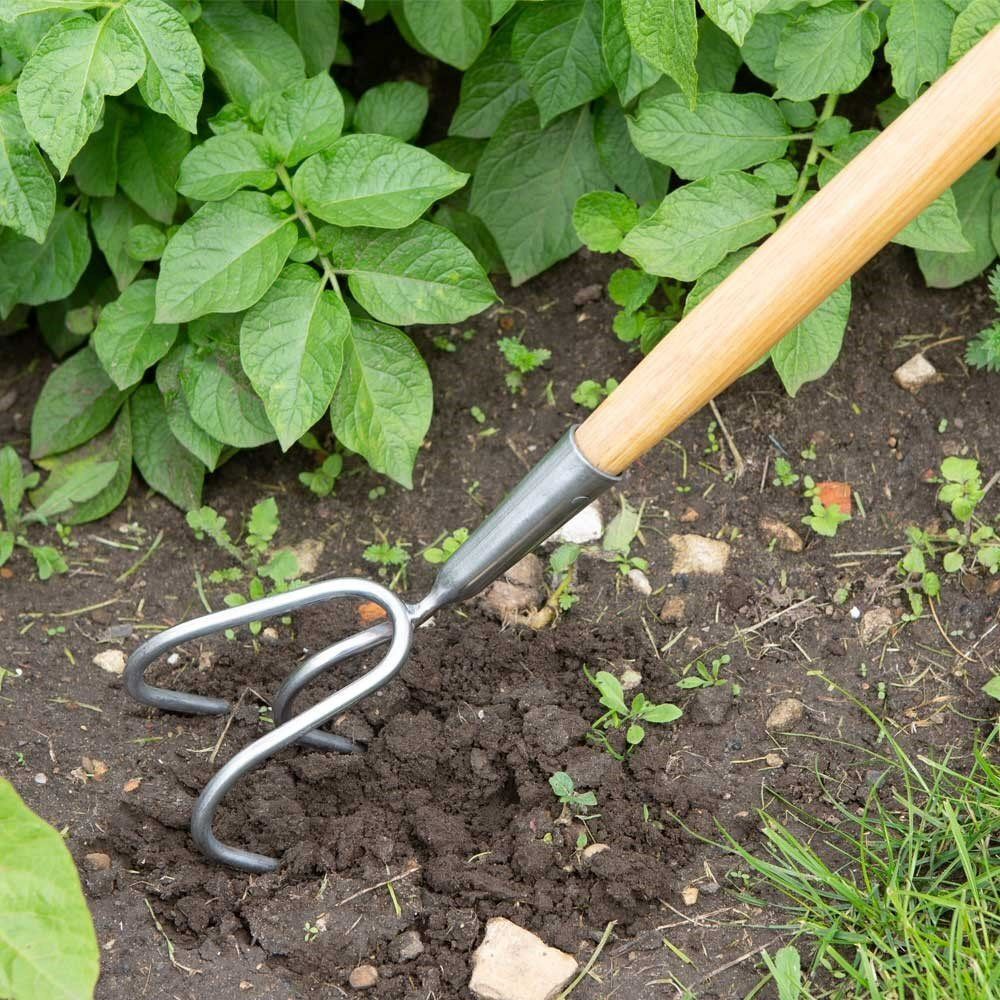 Wilkinson Sword Stainless Steel 3 Prong Cultivator - Old Railway Line Garden Centre