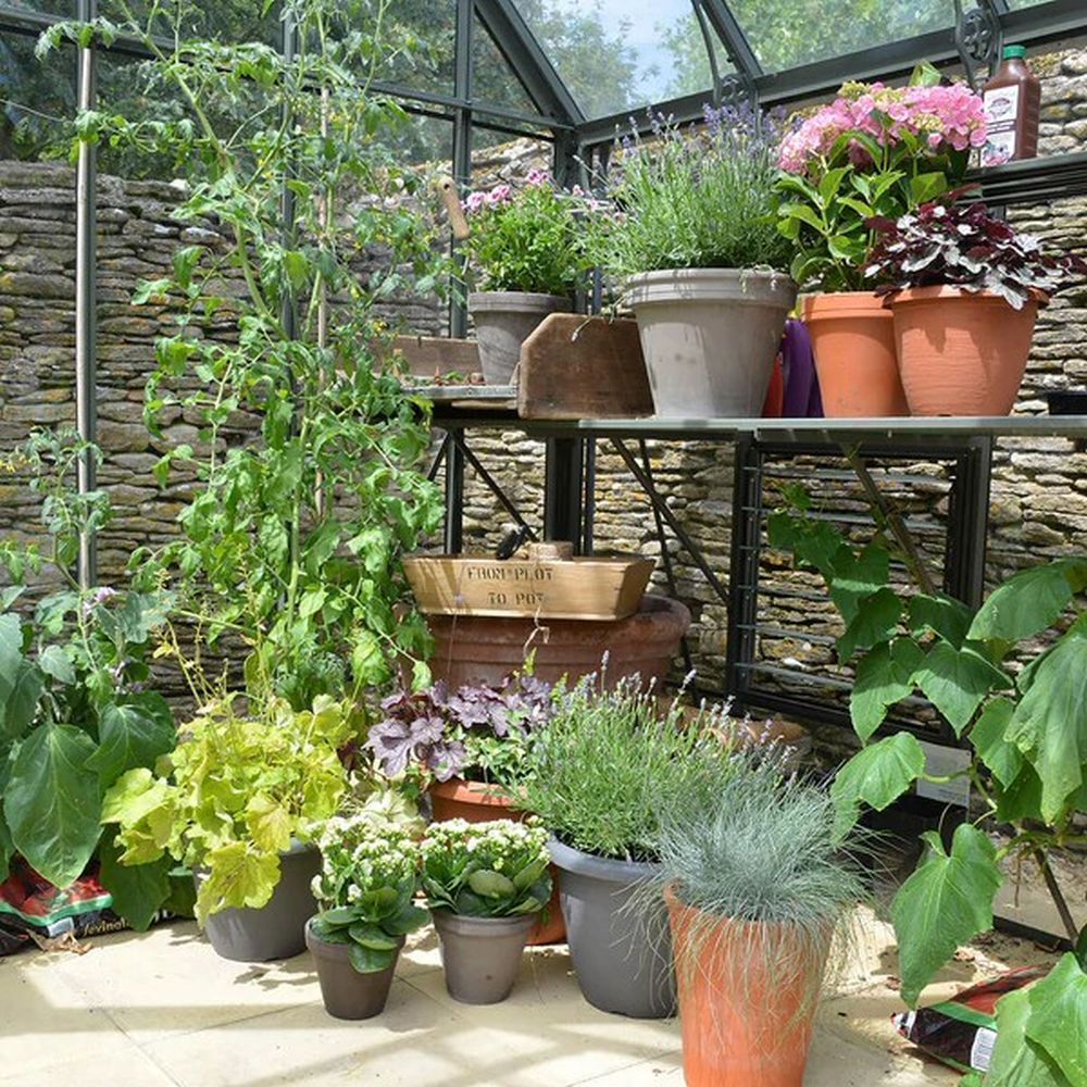 Woodlodge 25cm Terracotta Tomato Pot - Old Railway Line Garden Centre