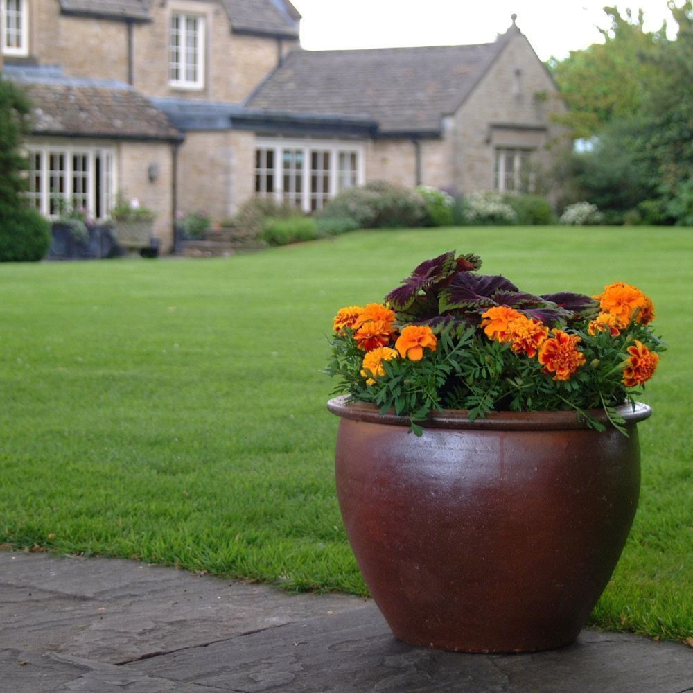 Woodlodge 40cm Thai Salt Glazed Pot - Old Railway Line Garden Centre