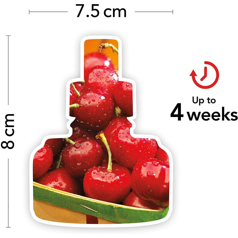 Yankee Candle Black Cherry ScentPlug Refill (Pack of 2) - Old Railway Line Garden Centre