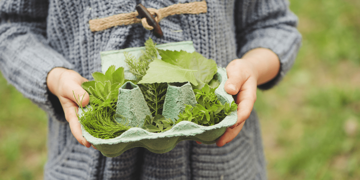 4 Fun and Easy Children's Gardening Activities - Old Railway Line Garden Centre