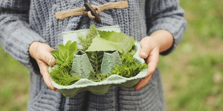 4 Fun and Easy Children's Gardening Activities - Old Railway Line Garden Centre