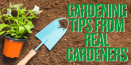 Gardening Tips from Real Gardeners | National Gardening Week UK
