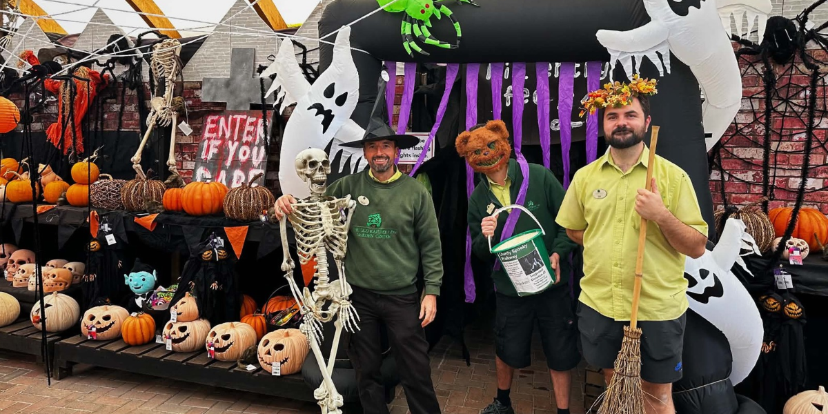Spooky Halloween Walk Returns to Raise Funds for The Bracken Trust