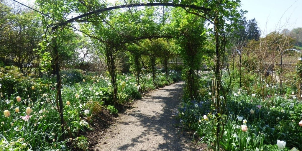 The May Garden at Aberglasney 2022