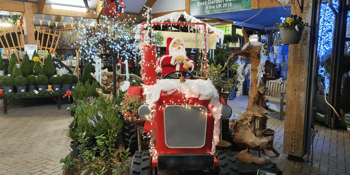 Awarded ‘Best Christmas Display’ - Old Railway Line Garden Centre