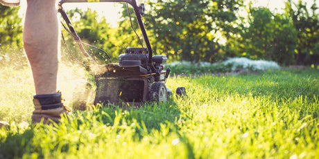 How to Keep Your Lawn Green During Hot Weather (Without Wasting Water)