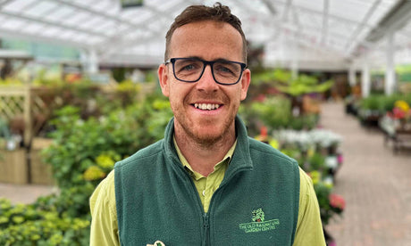 How to Protect Plants From Frost in the UK: Expert Gardening Tips