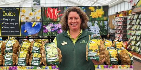 When Should You Plant Spring Bulbs in the UK?